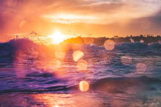 Cardiff - Back Spray - Sunrise